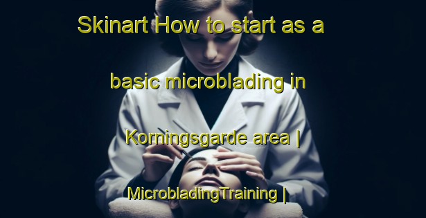 Skinart How to start as a basic microblading in Korningsgarde area | MicrobladingTraining | MicrobladingClasses | SkinartTraining-Sweden